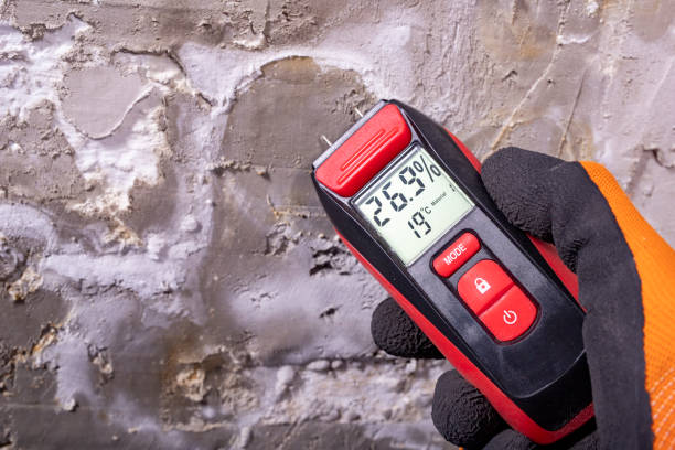 Best HVAC Mold Remediation in Bluewell, WV