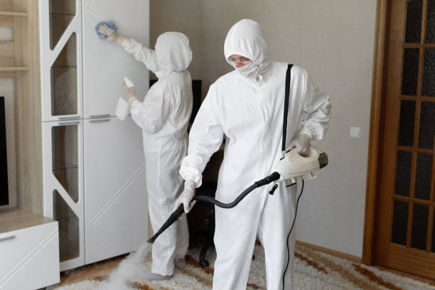Best Basement Mold Remediation in Bluewell, WV