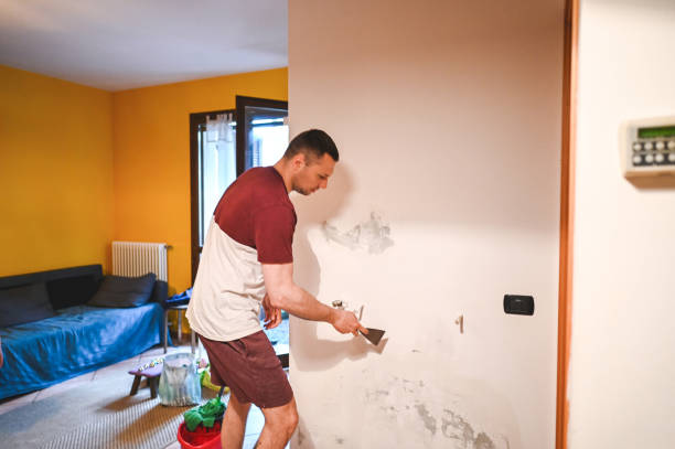 Best DIY Mold Remediation Support Services in Bluewell, WV